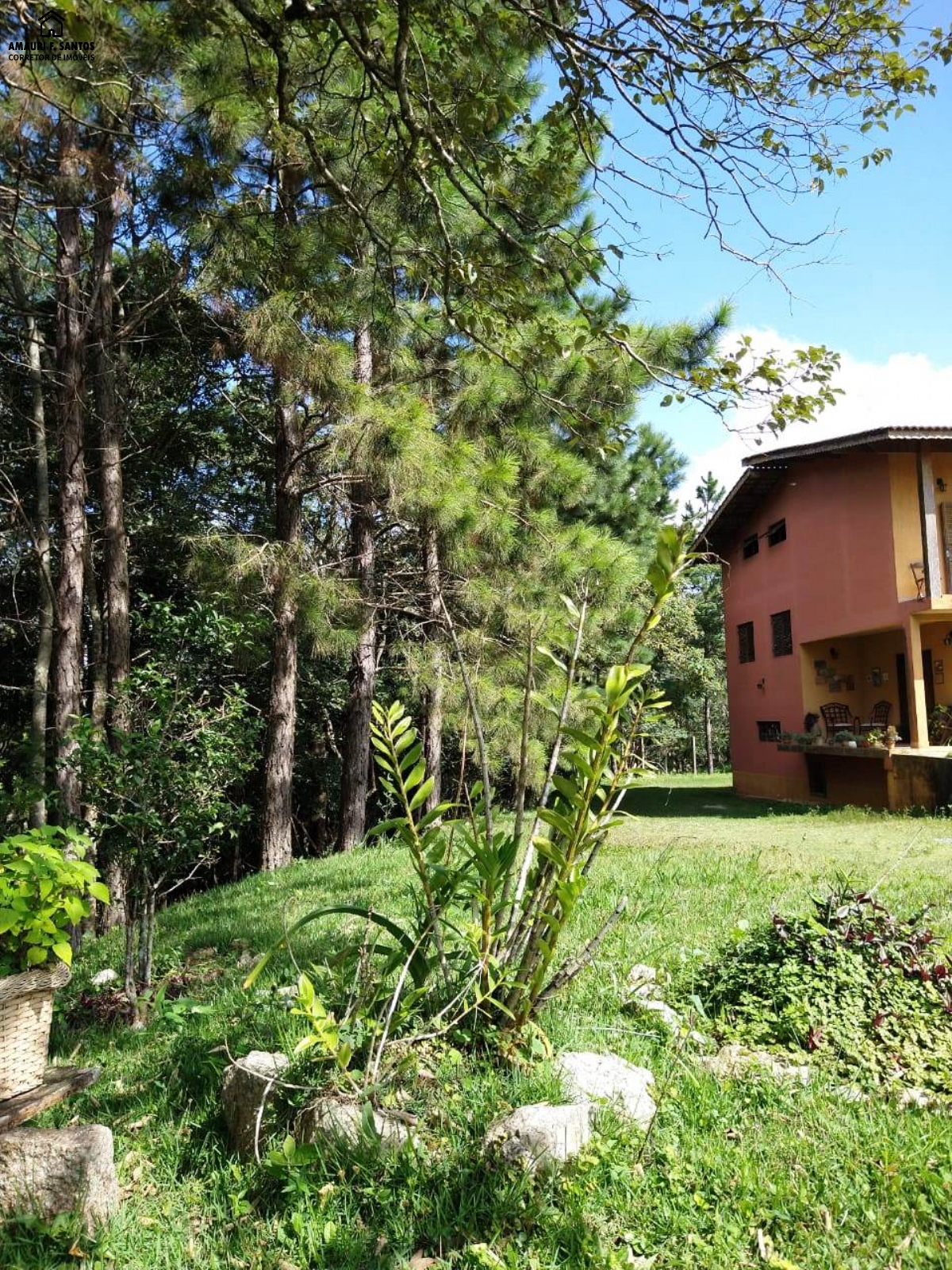 Chácara em , São Roque - Foto 27